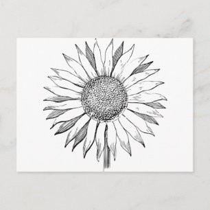 Carte Postale Tournesol illustré