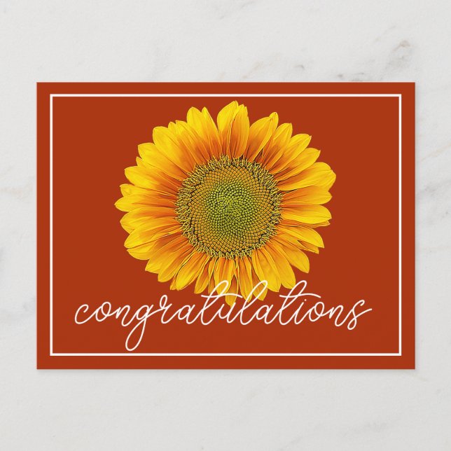 Carte Postale Tournesol Jaune Fond Orange Félicitations (Devant)