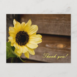 Carte Postale Tournesol merci