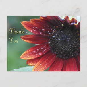 Carte Postale Tournesol rouge Merci