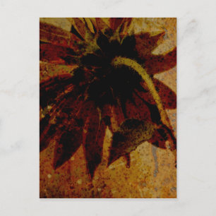 Carte Postale Tournesol rustique