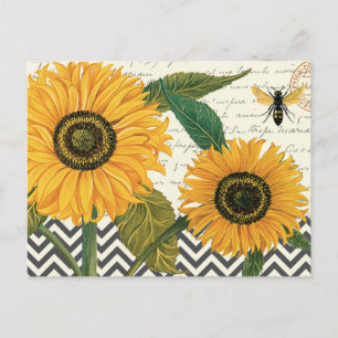 Carte Postale tournesol vintage