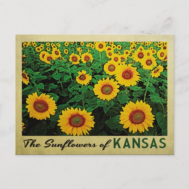 Carte Postale Tournesols du Kansas (Devant)