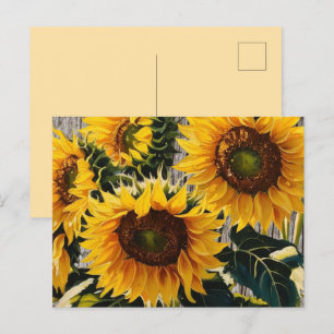 Carte Postale Tournesols Rustiques Sur Barton Imprimer