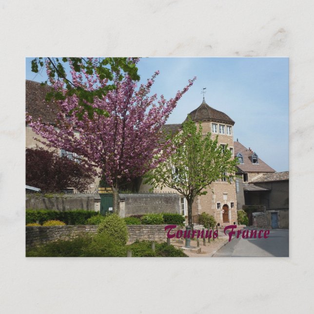 CARTE POSTALE - Tournus France (Devant)