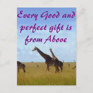 Carte Postale Tous les bons et parfaits cadeaux Africains Safari