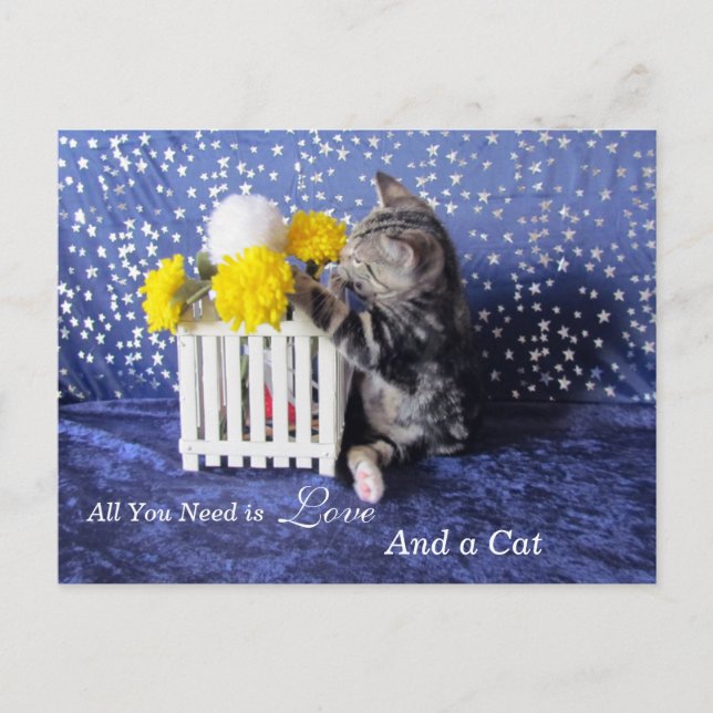 Carte Postale Tout ce dont vous avez besoin est l'amour - et un  (Devant)