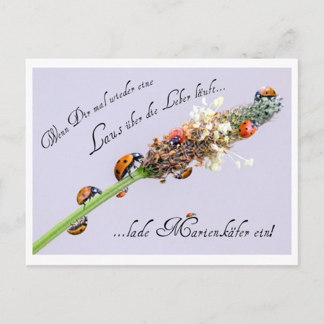 Carte Postale Tout le monde peut utiliser un peu de chance suppl (Devant)