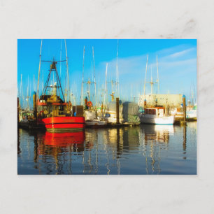 Carte Postale Toutes les ancrées