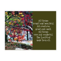 Toutes les choses brillantes et belles