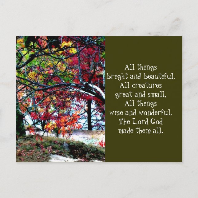 Carte Postale Toutes les choses brillantes et belles (Devant)