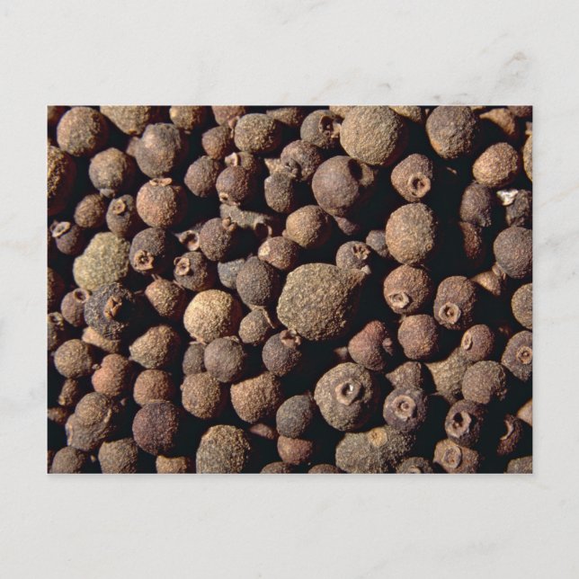 Carte Postale Toutes les épices (Devant)