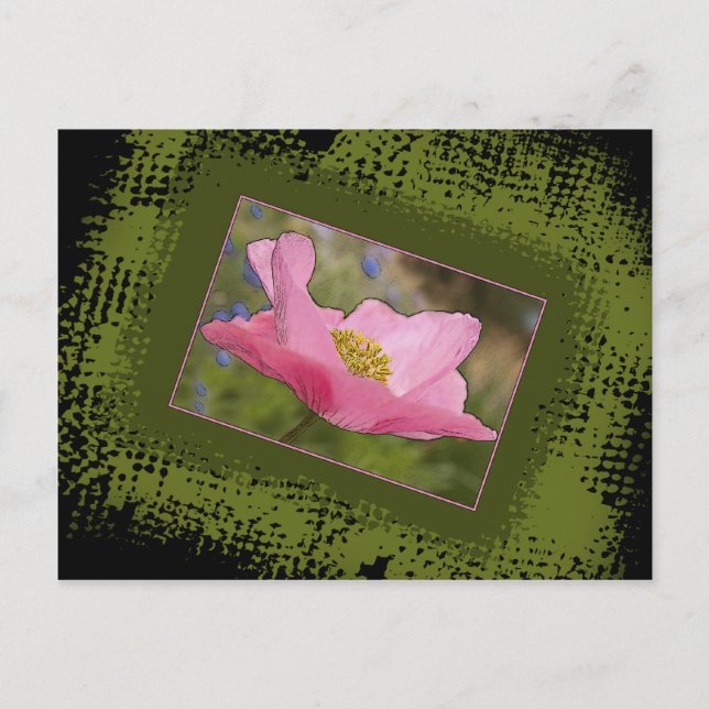 Carte Postale Toutes les occasions Joli rose photo de coquelicot (Devant)