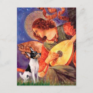 Carte Postale Toy Fox Terrier - Mandolin Angel