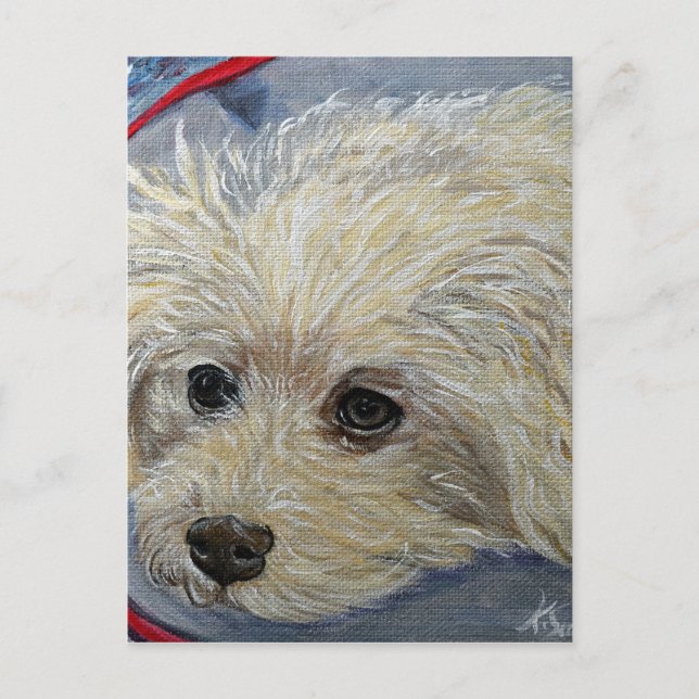 Carte Postale Toy Poodle Peinture - Cece (Devant)