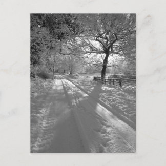 Carte Postale Tracks in the Snow: Cheshire