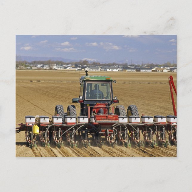 Carte Postale Tracteur tirant une semence de maïs. (Devant)