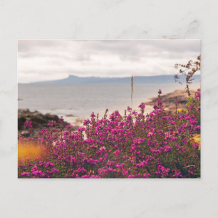 Carte Postale Traigh Beach et Eigg