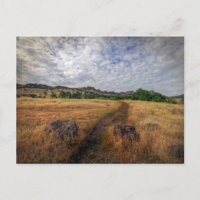 Carte Postale Trailhead, Upper Bidwell Park, Chico, Ca (Devant)