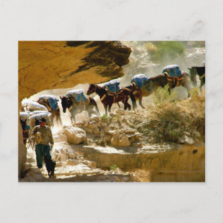 Carte Postale Train Havasu Canyon Pack