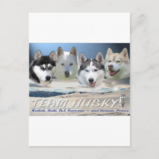 Carte Postale traîneau à chien