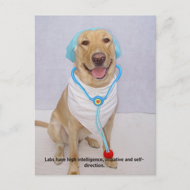 Carte Postale Traits de laboratoire - haute intelligence (Devant)