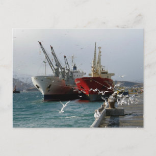 Carte Postale Trampers & Seaguls, hollandais Harbour, AK