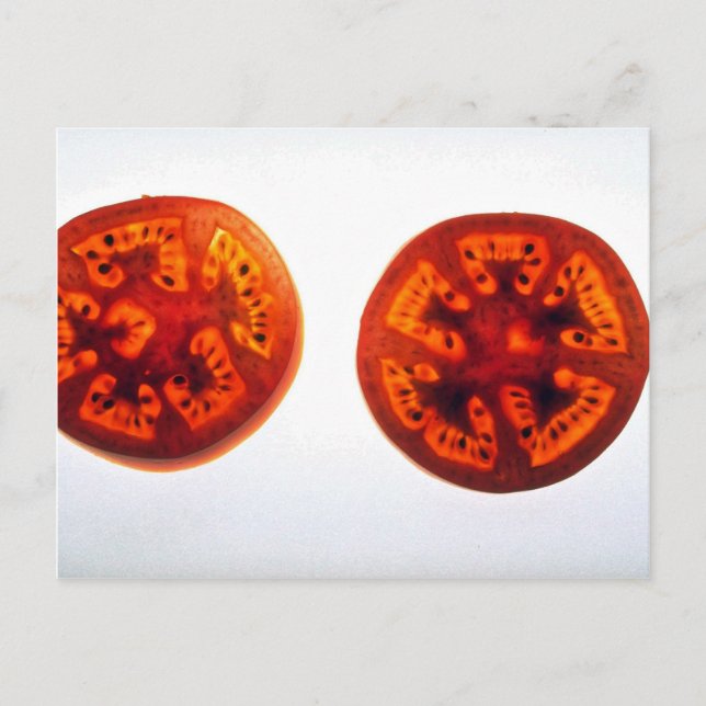 Carte Postale Tranches de tomates juteuses (Devant)