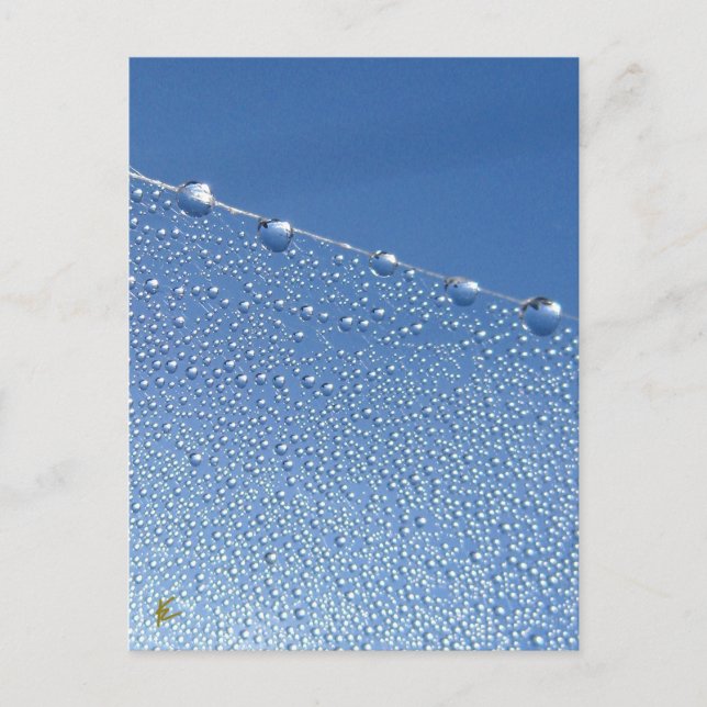 Carte Postale Tranquille, Méditative, Bleu Dégustation (Devant)
