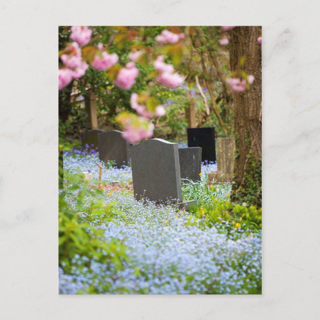 Carte Postale Tranquillité sauvage, beau cimetière. Hopwas UK (Devant)