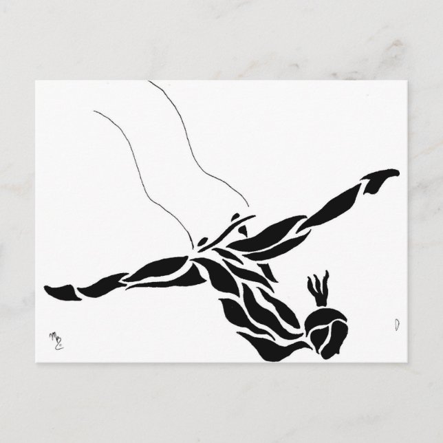 Carte Postale Trapeze Volant (Devant)