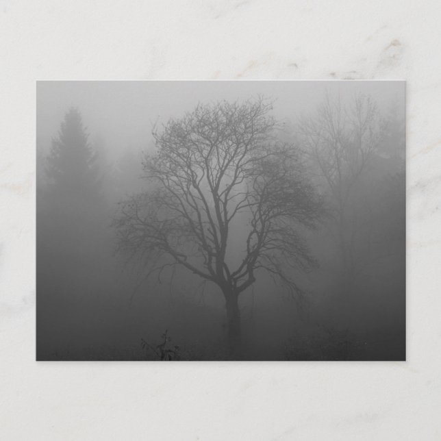 Carte Postale Trauerkarte (Devant)