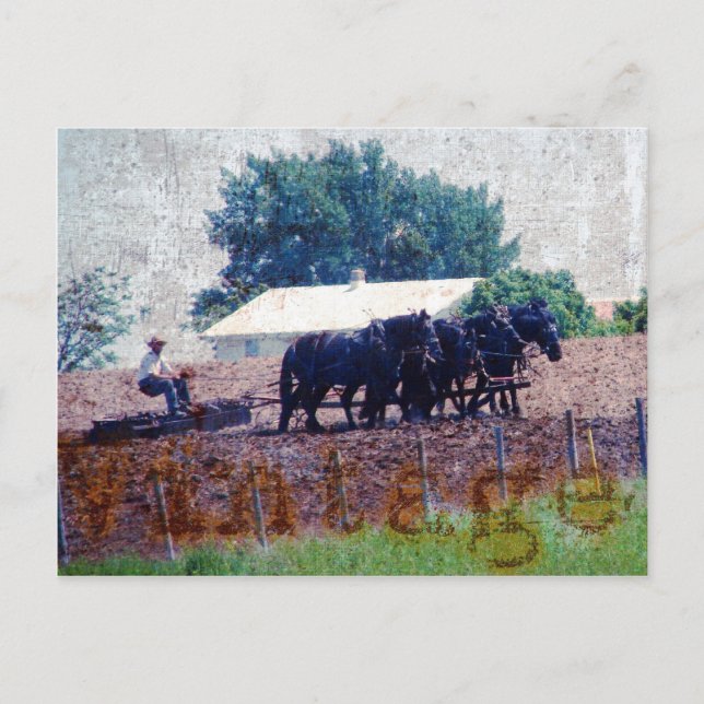 Carte Postale Travail d'équipe vintage (Devant)