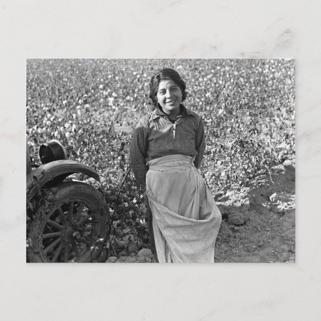 Carte Postale Travailleur migrant à côté d'un champ de coton (Devant)
