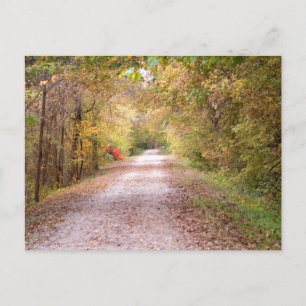 Carte Postale Traveled The Road Less