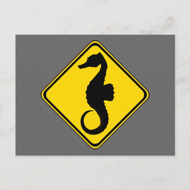 Carte Postale Traversée à cheval de recherche ! (Devant)