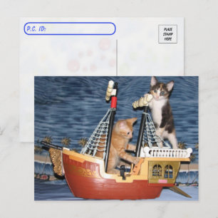 Carte Postale Traversée - Chatons de pirates - Chat / Chatte