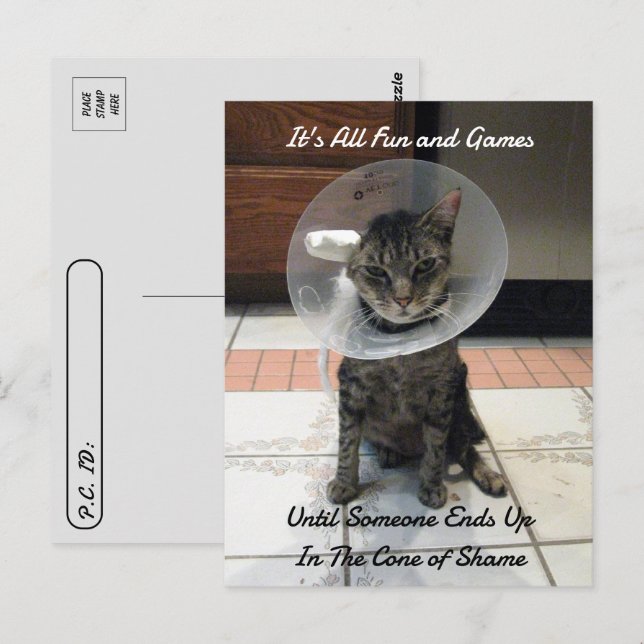 Carte Postale Traversée - Oliver Le Conne de la honte des chats (Devant / Derrière)