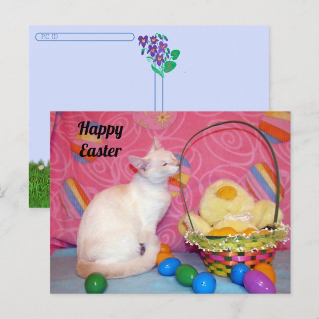 Carte Postale Traversée - Panier de Pâques de Tiffany = Chat (Devant / Derrière)