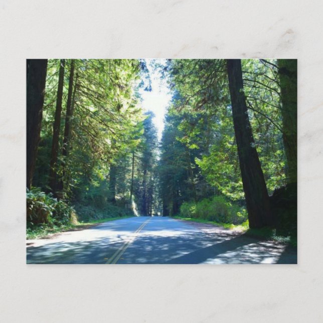 Carte Postale Traverser la forêt à Crescent City (Devant)