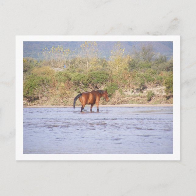 Carte Postale traverser la rivière (Devant)