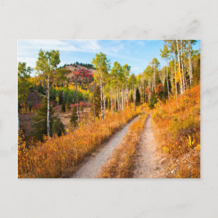 Carte Postale Traverser les couleurs d'automne