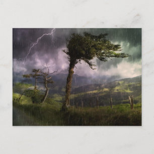 Carte Postale Tree Blowing in the Wind During a Thunder Storm
