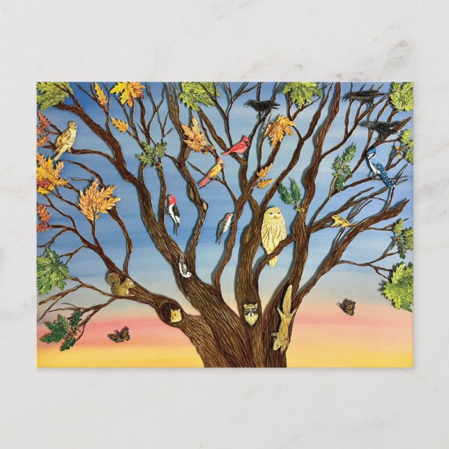 Carte Postale Tree Canopy Postcard (Devant)