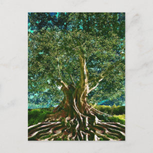 Carte Postale Tree of Life Green