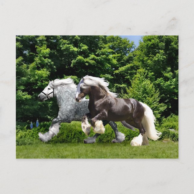 Carte postale "Tremayne & Caspian" (Devant)