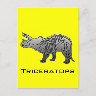 Carte Postale Tricératops