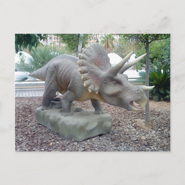 Carte postale Triceratops Dinosaur (Devant)