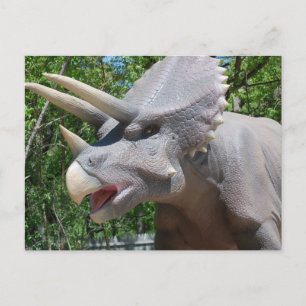 Carte Postale Tricératops/Dinosaures