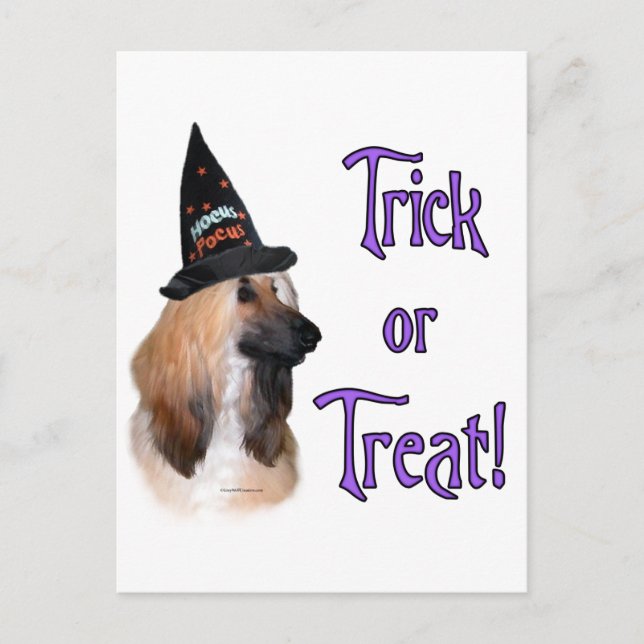 Carte Postale Trick afghan (Devant)